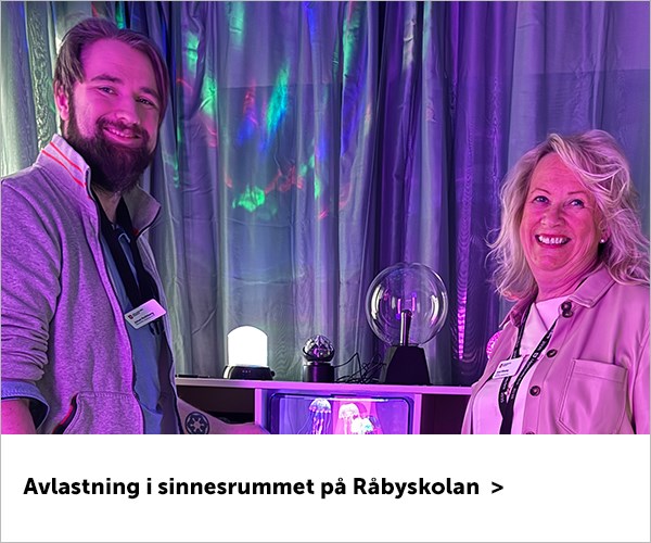 Inspireras av sinnesrummet på Råbyskolan