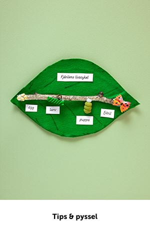 Pedagogiska tips och pyssel för skola och förskola