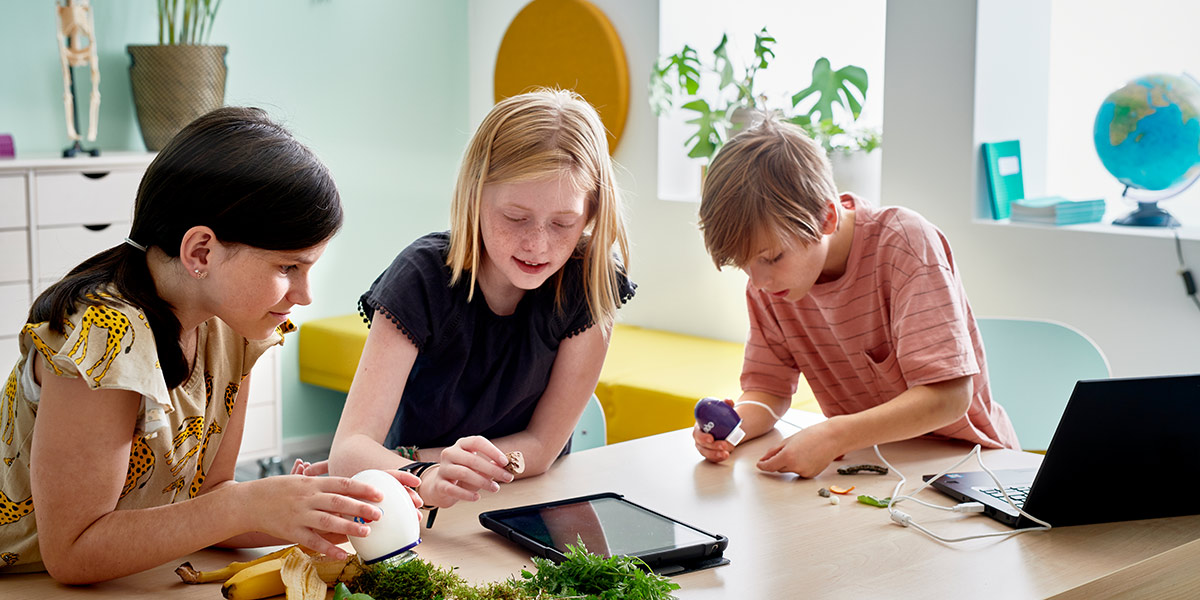 Utforska med webbägget på förskolan och skolan