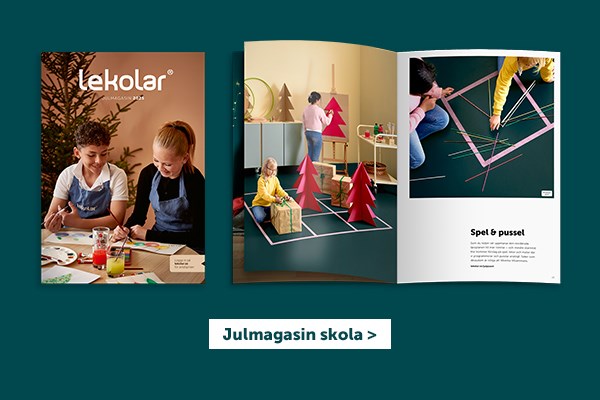 Julmagasin skola