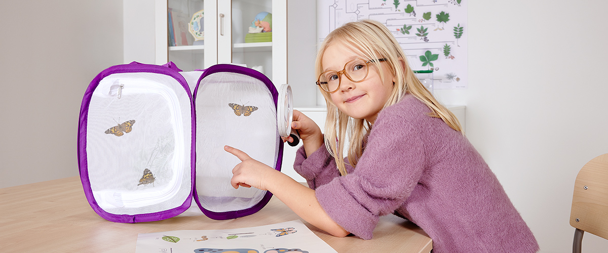 Odla fj&auml;rilslarver i skolan och f&ouml;rskolan