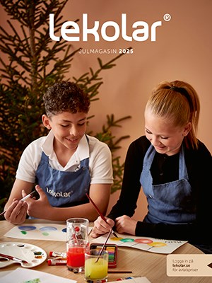 Julmagasin skola 2025